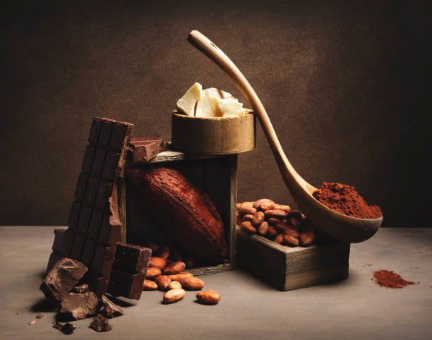ingredientes de chocolate - polvo de cacao fotografías e imágenes de stock