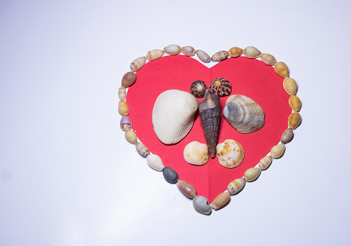 Defocus heart made of sea shells lying on a beach white summer background. Suggesting sea concept. Side view. Valentines Day background. Out of focus.