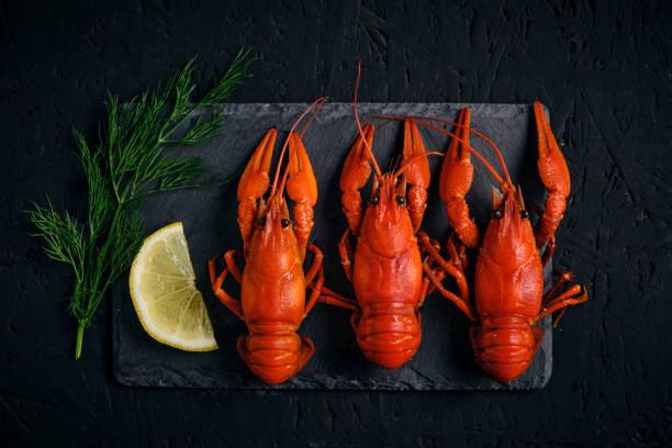 istock Boiled river crayfish with lemon and dillon slate board and dark background. 1458070066