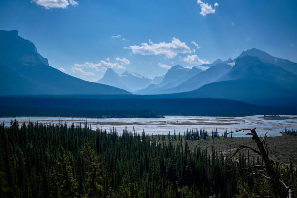 vista deslumbrante do howse pass de icefields parkway, alberta, canadá - north saskatchewan river - fotografias e filmes do acervo