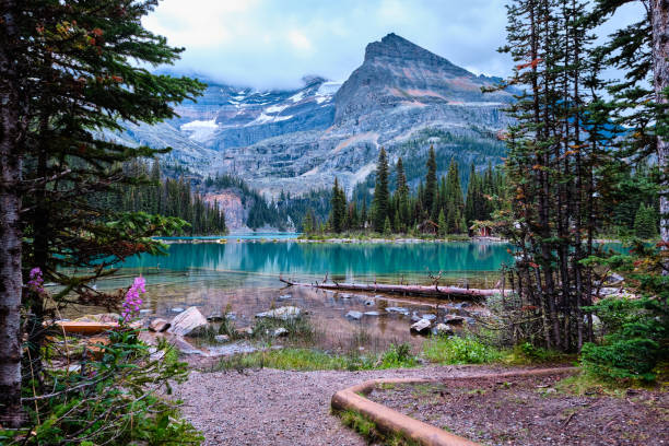 First view of Lake O'Hara's emerald waters, Yoho National Park