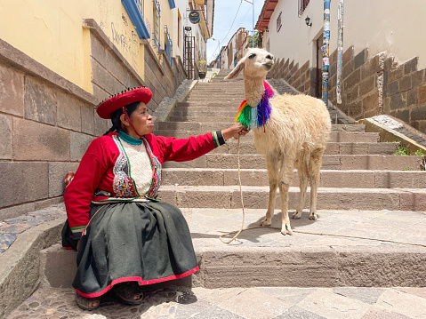 Cusco, Peru - January 2023: Peruvian woman with traditional clothing holding a llama.