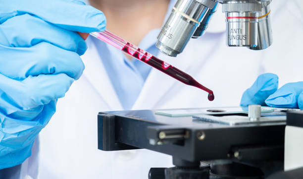 selective focus of scientist or doctor hands wear medical protective gloves looking at blood samples under microscope - medical exam science research scientific experiment imagens e fotografias de stock