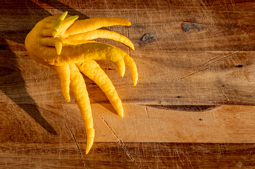 Buddha's Hand is a citron, an ancestor of lemons and oranges, and is made of only sweet rind: no fruit, no pulp, no seeds, and no juice. Natural food background on sunny day over wooden surface with copy space.