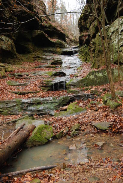 cantos rodados sobre arroyo en el bosque - shawnee national forest fotografías e imágenes de stock