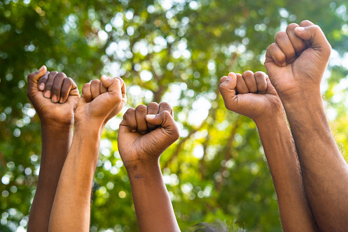 Concept of unity in diversity or equality showing by Group of fist hands rising during march.