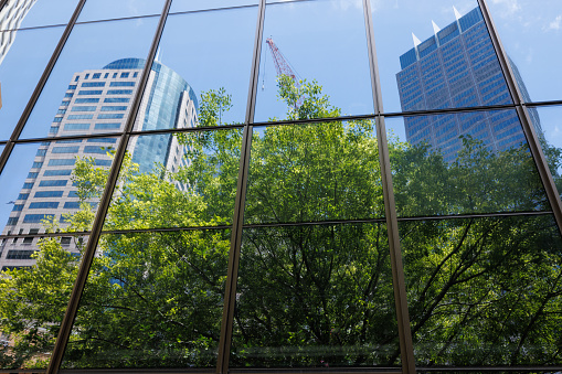 Tree and city buildings reflected in glass windows on a sunny day.