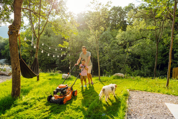 istock Mowing the lawn together 1458138312