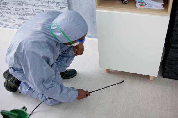 istock Pest Control Exterminator Man Spraying Termite Pesticide 1458138614