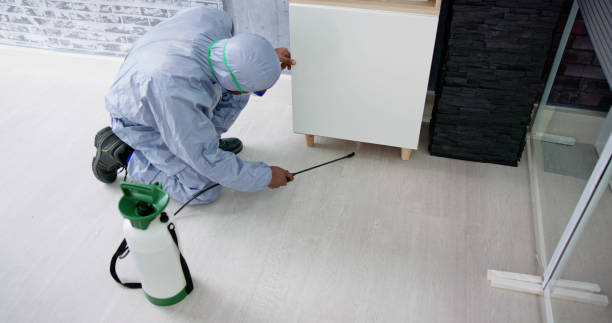 istock Pest Control Exterminator Man Spraying Termite Pesticide 1458138633