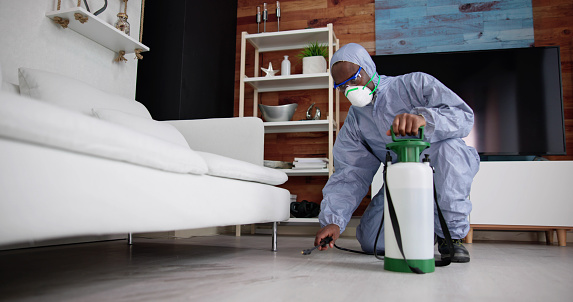 Exterminate Pest Termites In Living Room Service