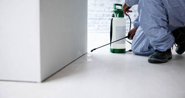 istock Pest Control Exterminator Man Spraying Termite Pesticide 1458138682