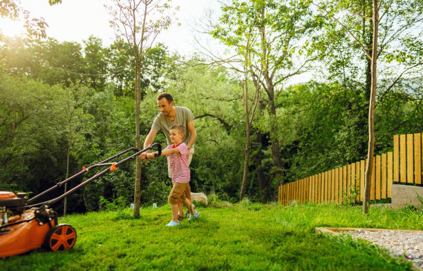 istock Mowing the lawn together 1458139572