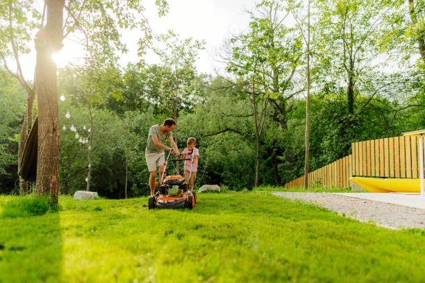 istock Mowing the lawn together 1458139631