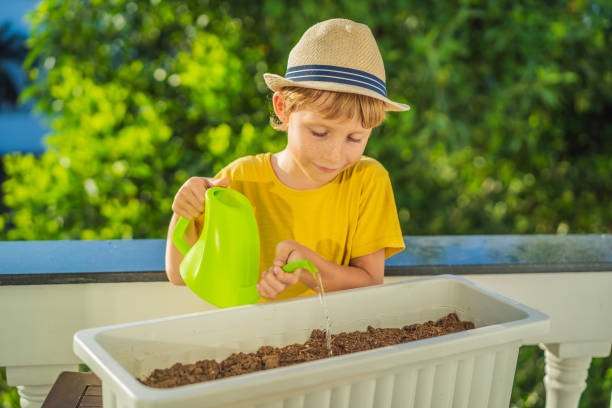 istock The boy is doing gardening on his balcony. Natural development for children 1458144280