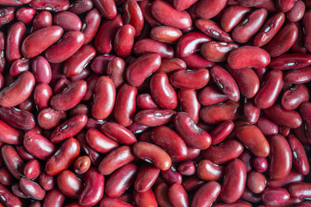 Red bean beans as pattern background, close up stock photo