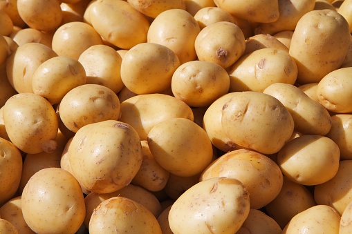A top view of fresh, organic potatoes in a stack