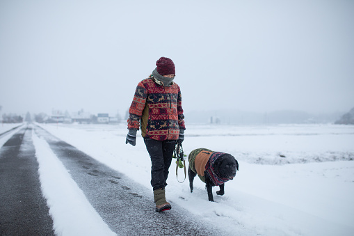 A Japanese woman walking her dog on a cold snowy day in rural Japan.