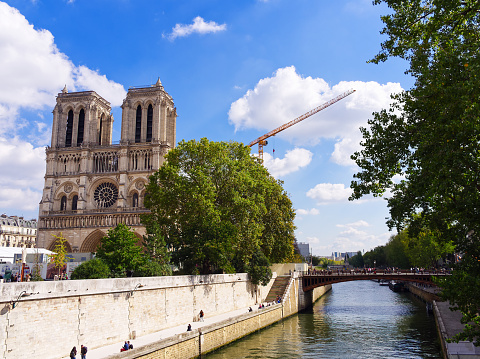 Notre-dame cathedral in sunny day, Paris, France