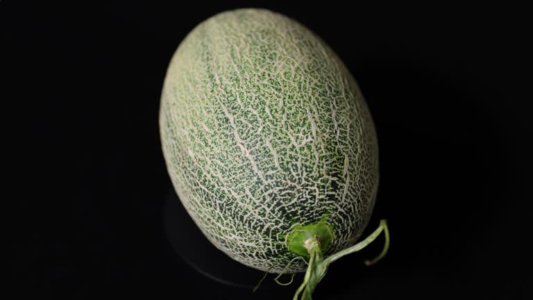 Muskmelon on Black Background