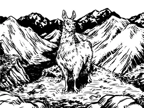 Vector illustration of Llama Scene