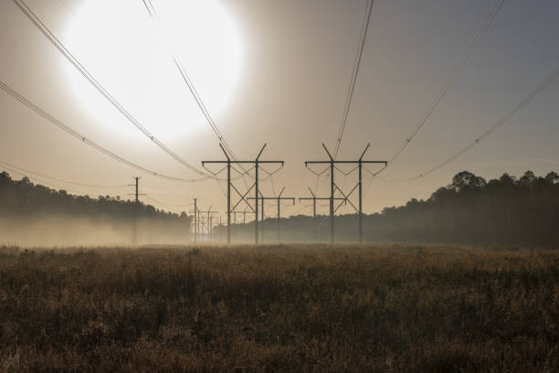 istock Electricity pylons carrying power through misty morning forest 1458166391