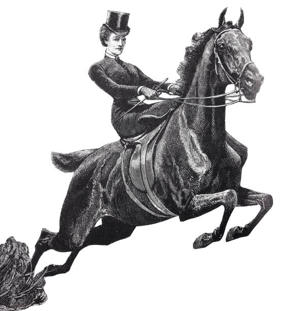 junge springreiterin mit ofenrohrhut springt mit pferd, weißer hintergrund - stovepipe hat stock-grafiken, -clipart, -cartoons und -symbole