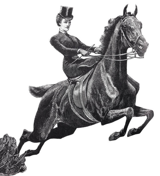 Illustration from 19th century.
