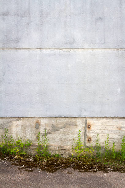 istock Urban grungy concrete wall with green grass 1458178359