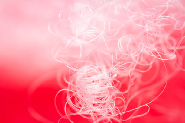 istock Extreme macro of polyester stable fiber on red background 1458178735