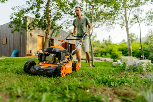 Mowing the lawn together stock photo