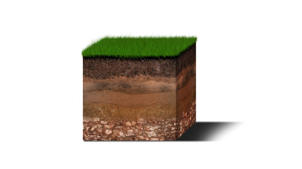 Isometric Soil Layers diagram, Cross section of green grass and underground soil layers beneath, stratum of organic, minerals, sand, clay, Isometric soil layers isolated on white Isometric Soil Layers diagram, Cross section of green grass and underground soil layers beneath, stratum of organic, minerals, sand, clay, Isometric soil layers isolated on white topsoil stock pictures, royalty-free photos & images