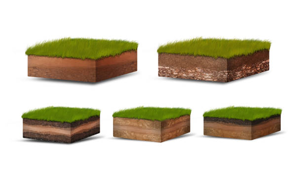 istock Isometric Soil Layers diagram, Cross section of green grass and underground soil layers beneath, stratum of organic, minerals, sand, clay, Isometric soil layers isolated on white 1458192802