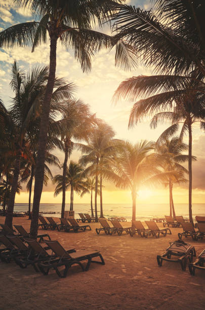 istock Sunbeds on a tropical beach at sunset. 1458196213