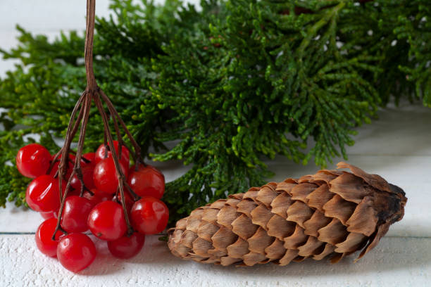 istock On the table are viburnum fruits and a cone. 1458201765