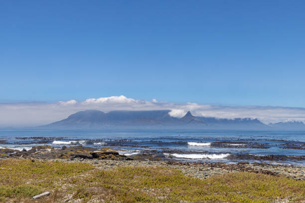 istock Rocky beach with a view to the Table Mountain 1458201909