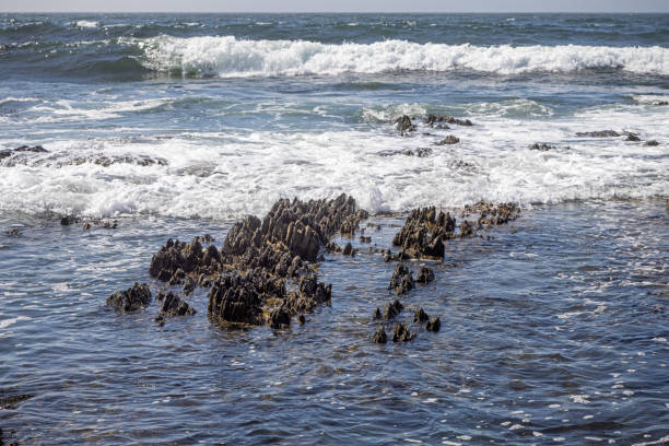 View to the horizon over the rocky beach in Cape Town in South Africa