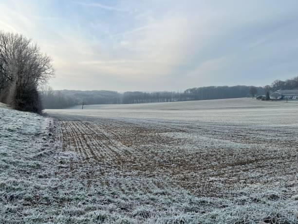 istock Pasture in winter with frost 1458206757