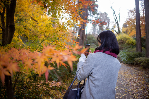 Rear view of woman taking photos of autumn leaves