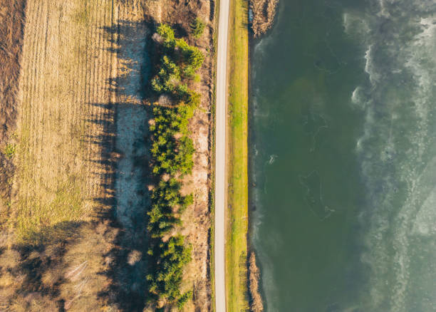 pôr do sol sobre um lago congelado. raios de sol caindo sobre a água. sombras de árvores no gelo que cobrem o lago. vista aérea de um lago congelado. fundo da camada de gelo. grama congelada na água - patinagem no gelo - fotografias e filmes do acervo