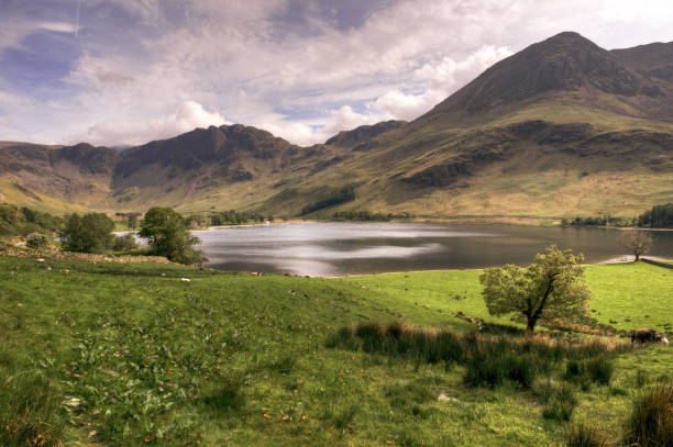 istock Haystacks & High Crag From Buttermere 1458210361