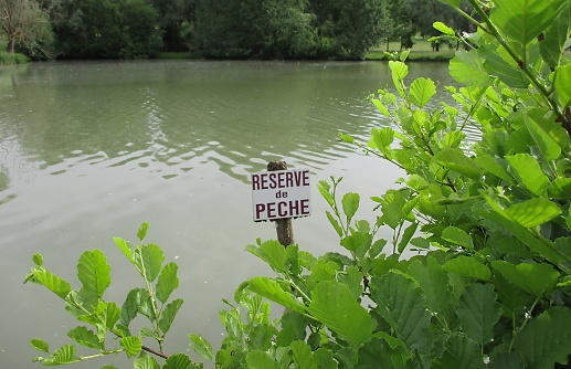 Quiet fishing pond surrounded by greenery. Signpost planted in the water. Mercurey, Burgundy, France. May 2022