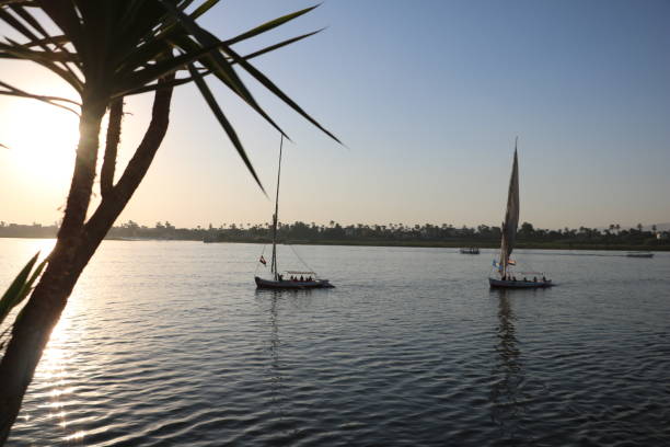 istock Nile in Luxor 1458212884