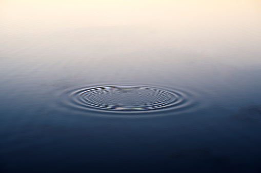 Expanding ripples forming a ring in water