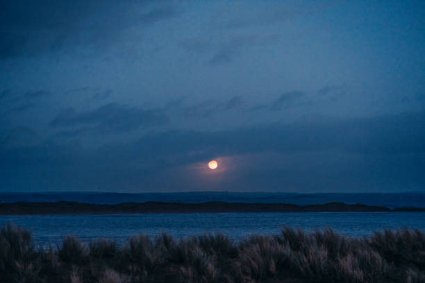 Free Stock Photo of Moonrise over tranquil coastal landscape | Download ...