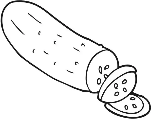 Vector illustration of freehand drawn black and white cartoon sliced cucumber