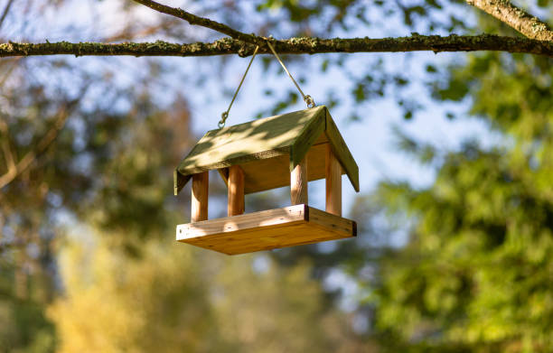 istock Bird feeder on a tree branch in the forest 1458222177