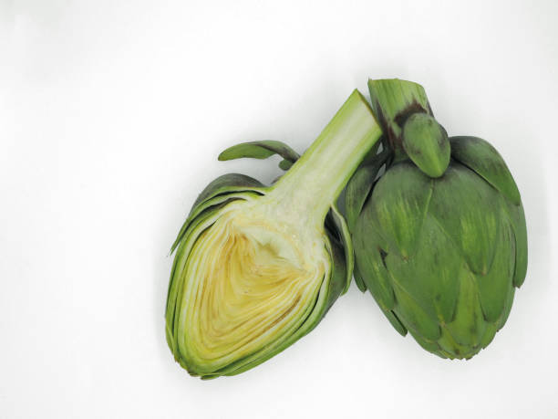 Purple artichoke on white background.