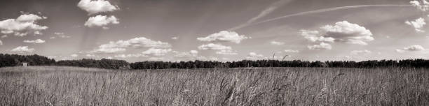 panorama du paysage de schorfheide - schorfheide photos et images de collection