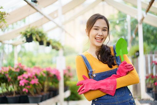 Happy cheerful Asian female botanist or gardener hold a shovel and crossed arm and smile to camera. Beautiful Asian woman planting and watering a small houseplants.